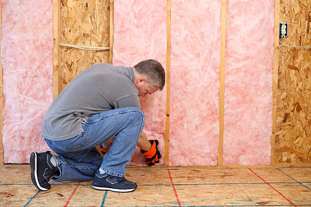 Best Fireproof Insulation  in Roanoke, TX